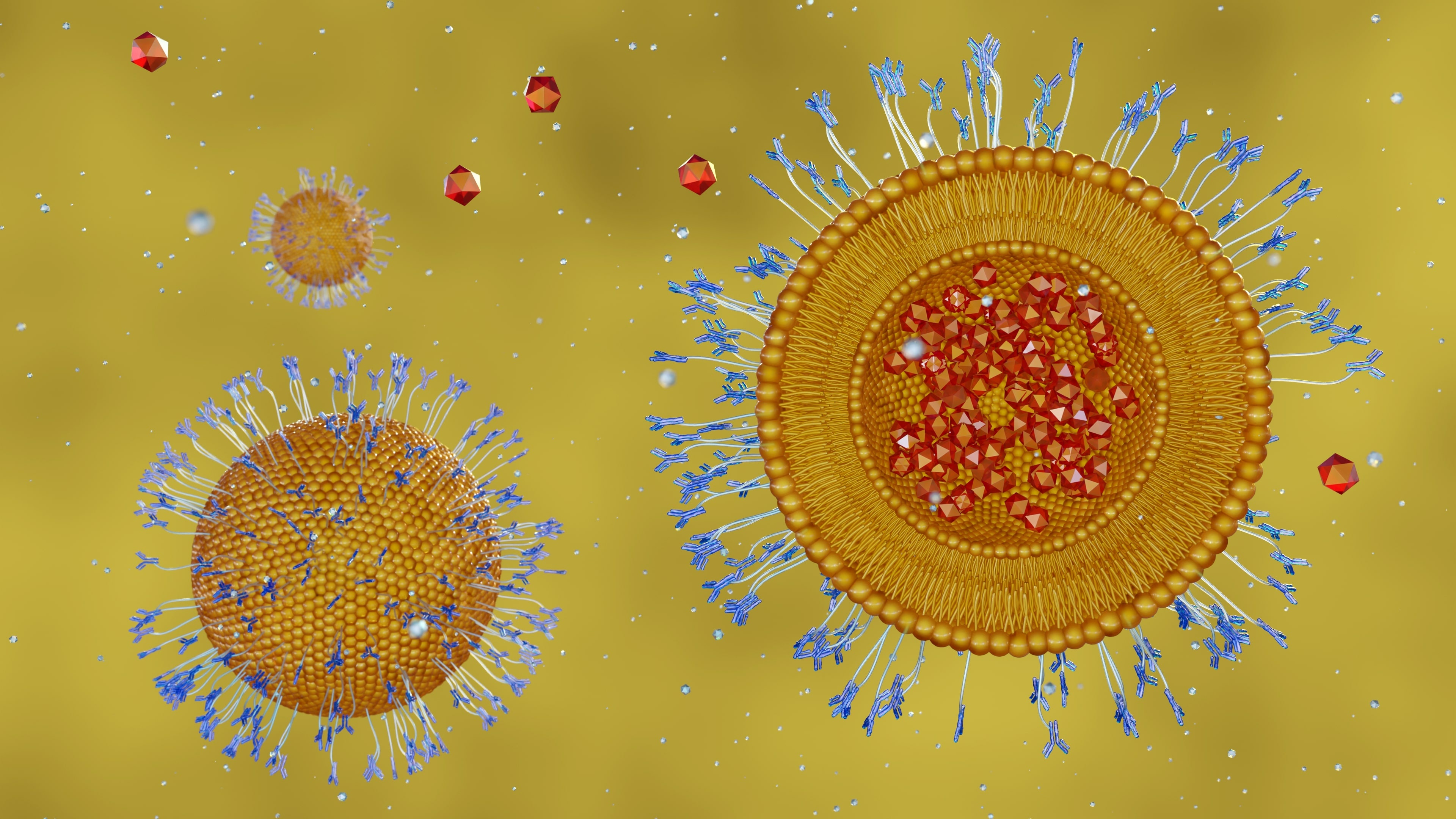 Lipids can be powerful tools to help deliver drugs and treatments through their interactions with proteins. (Adobe Stock) Lipids can be powerful tools to help deliver drugs and treatments through their interactions with proteins. (Adobe Stock)