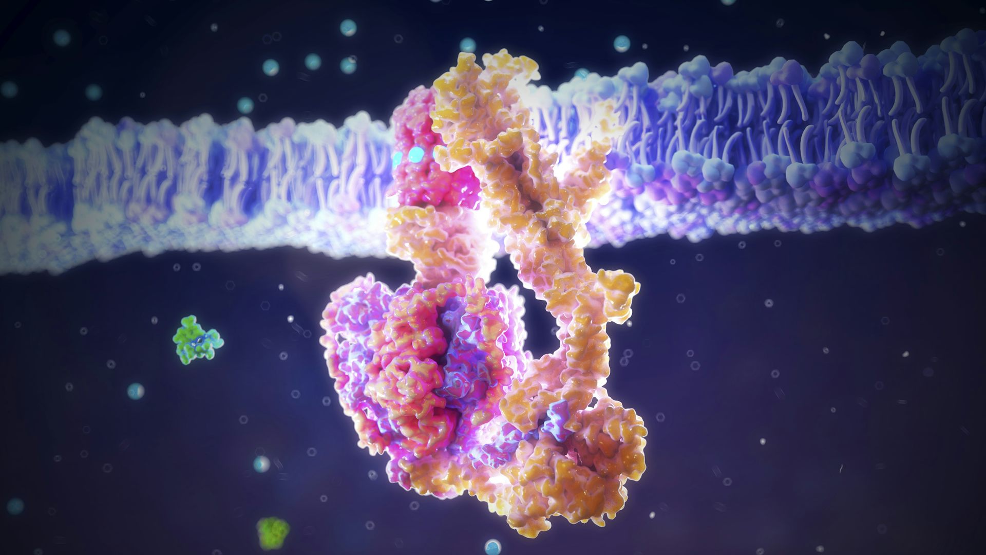 ATP synthase is an enzyme that has been using phosphate to generate life’s energy for millions of years. Nanoclustering/Science Photo Library via Getty Images ATP synthase is an enzyme that has been using phosphate to generate life’s energy for millions of years. Nanoclustering/Science Photo Library via Getty Images