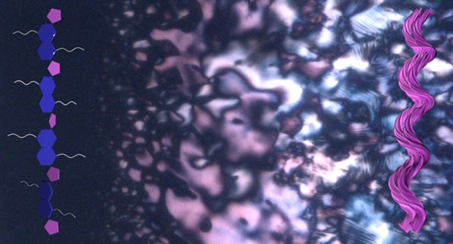 Certain materials can spontaneously form spiral-shaped structures, even when they start out without any 'handedness.' These tiny helices emerge during a phase separation process, offering clues about how life's building blocks may have first developed a preference for one 'handed' form over another.&nbsp;(Credit: Jong-Hoon Lee, Ziming Wang, Ying Diao)