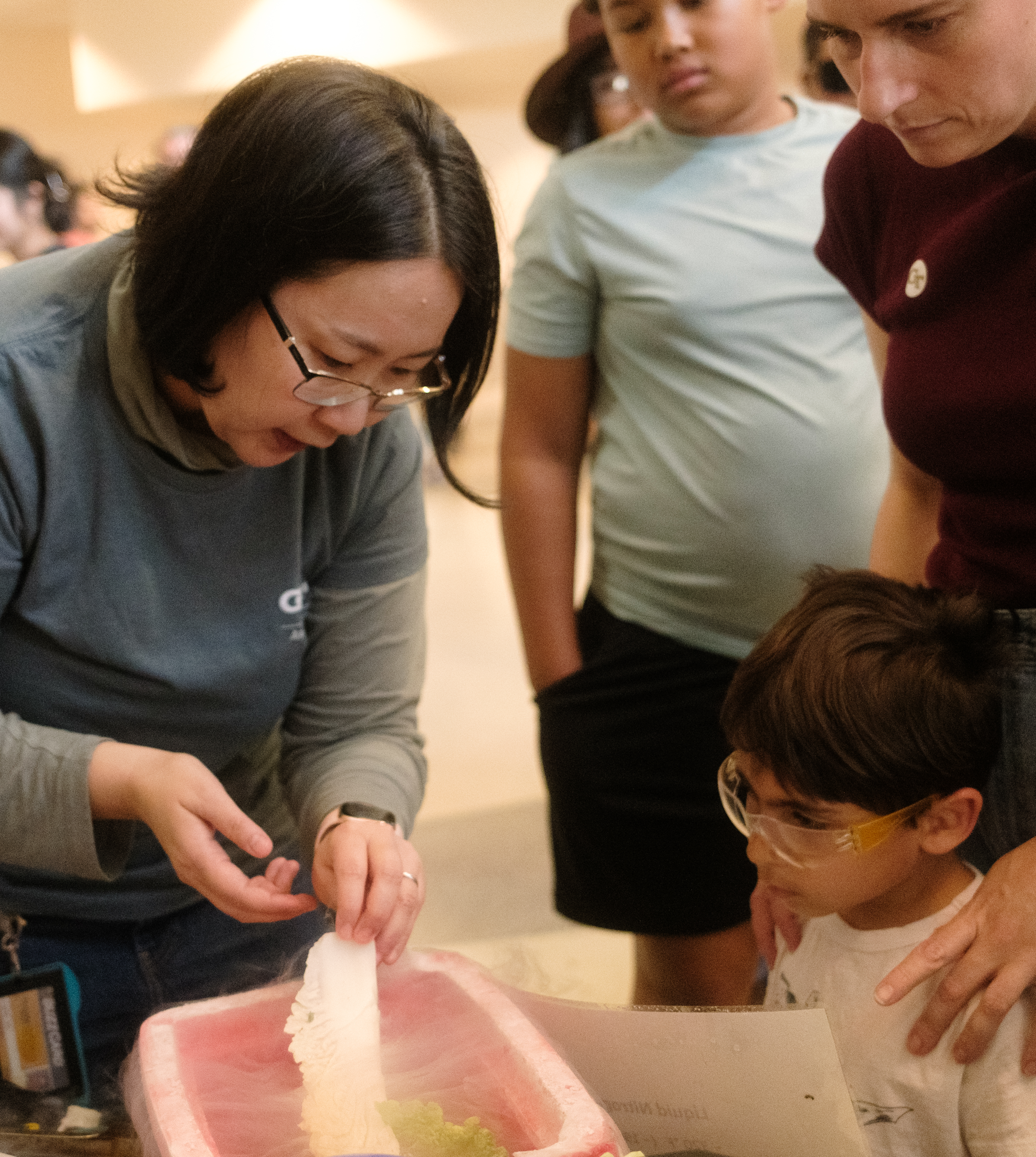 A presenter shows the effects of immersing an object in liquid nitrogen.