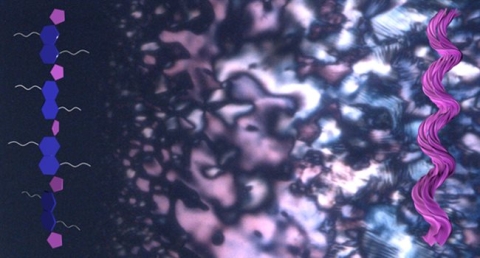 Certain materials can spontaneously form spiral-shaped structures, even when they start out without any 'handedness.' These tiny helices emerge during a phase separation process, offering clues about how life's building blocks may have first developed a preference for one 'handed' form over another.&nbsp;(Credit: Jong-Hoon Lee, Ziming Wang, Ying Diao)